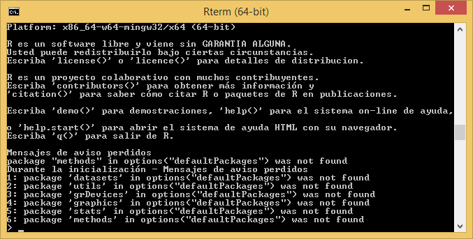 R cmd terminal